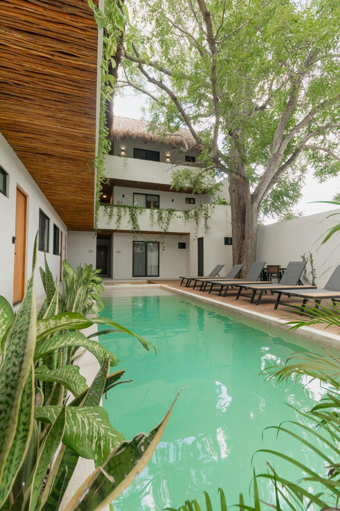 Cozy Apartment With Pool In Bacalar Center Kültér fotó